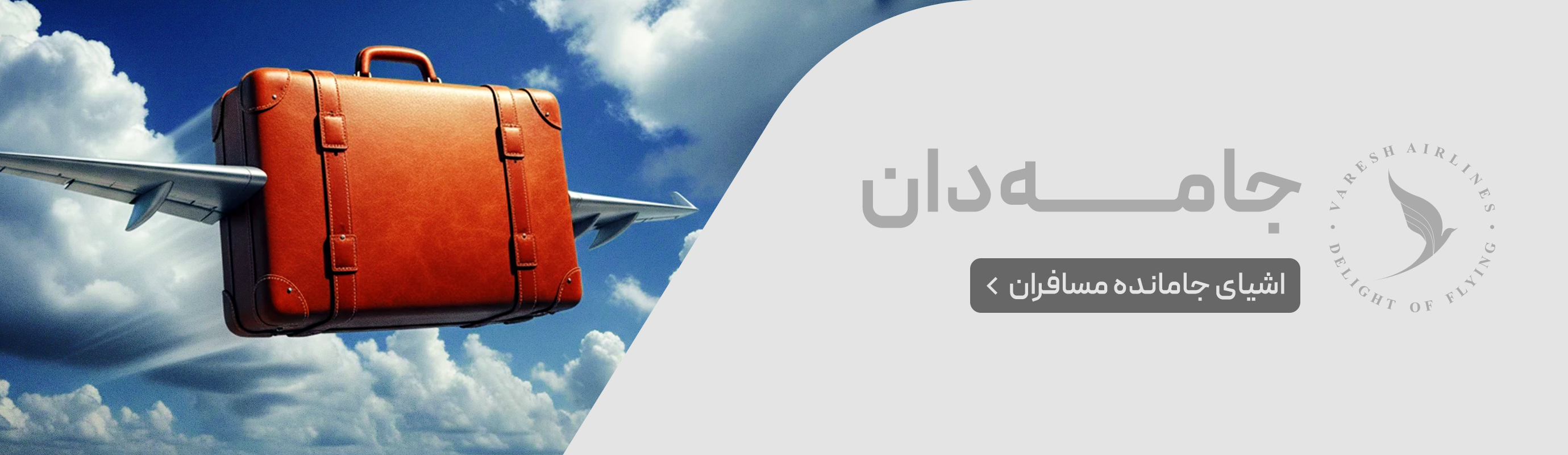 الشحن الجوي
